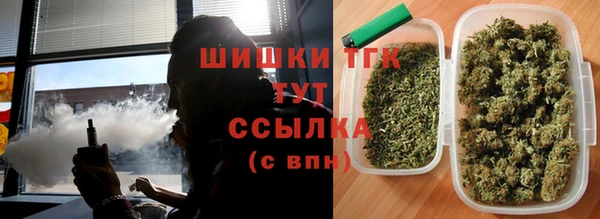 молекула духа Навашино