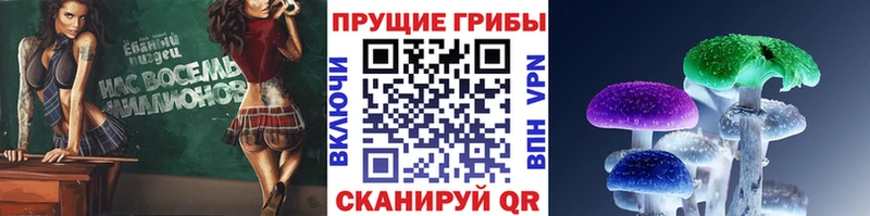 KRAKEN сайт  Тобольск  Галлюциногенные грибы мухоморы 