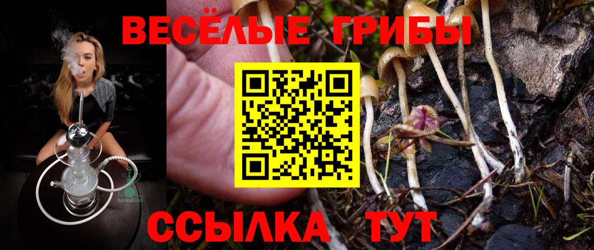 даркнет сайт  Галлюциногенные грибы Magic Shrooms  Тобольск  Вход с VPN  Псилоцибиновые грибы MAGIC MUSHROOMS 