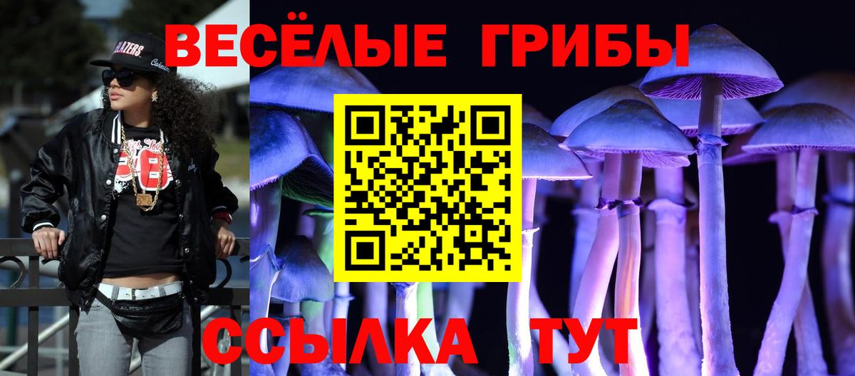Псилоцибиновые грибы Psilocybe Тобольск